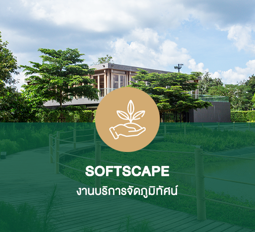 ขั้นตอนการทำงานของทีม <br>จัดภูมิทัศน์ (SOFTSCAPE)